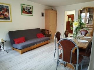 T2 lumineux 6 pers au pied des pistes avec WIFI, balcon, casier à skis, à 5 min des commerces et loisirs - FR-1-262-79 - Forest des Baniols - 9