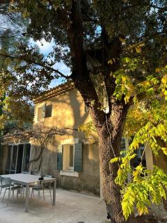 Maison Les Chênes - Eygalières - 7