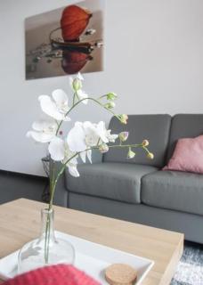 Luxus-Appartement-Winterberg - Winterberg - 1