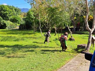 Green Forest Homestay - Nung-hui-ti - 6