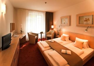 Spa Hotel Felicitas - Poděbrady - 9