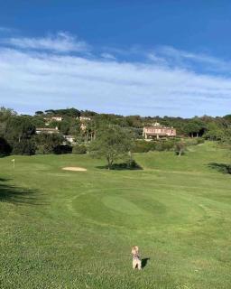 Maison classée sur le Golfe de St Tropez - Saint-Tropez - 7