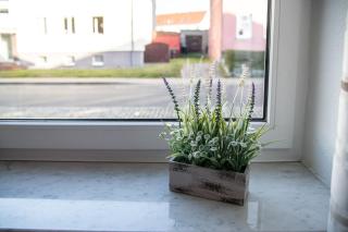 Am Seeufer 59b Fewo Seensucht - Waren - 3