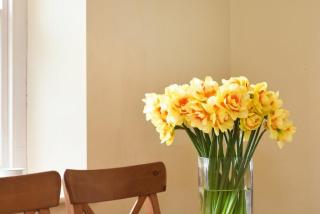 Ottoline Cottage - Craster - 1