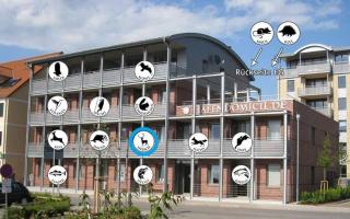 Hafendomicil Appartement WH08 - Hirsch - Waren - 2