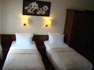 Hotel Dwór Choiny - Kazimierzówka - 9