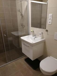 Apartmán Praděd v Říčkách - Říčky v Orlických horách - Říčky - 7