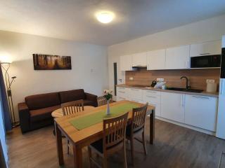 Apartmán Praděd v Říčkách - Říčky v Orlických horách - 5
