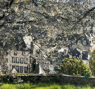 Cosy et jardin panoramique - Morlaix - 2