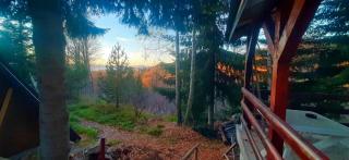 Sova - Kopaonik - 9