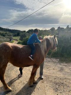 giagias family farm - Kranidi - 5