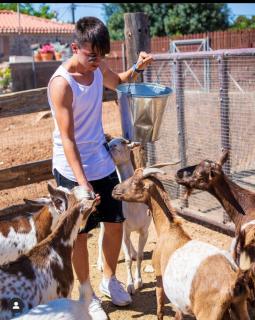 giagias family farm - Kranidi - 2