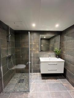 Trysil Alpine Lodge - 1