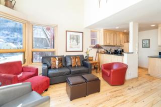 Cornet Creek 101 - Cornet Ski House - Telluride - 9