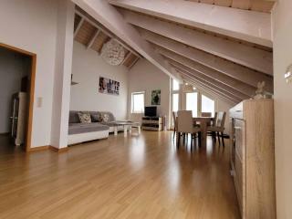 Ferienwohnung Hegau - Hilzingen - 8