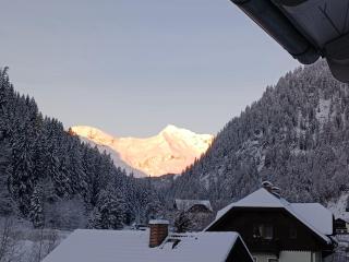 AH Carinthia Mallnitz - Carinthia Appartements - Mallnitz - 2