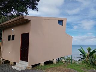 Tapirus Playa - Drake - 2