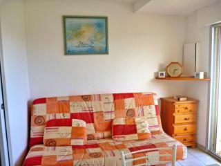 Studio cabine cosy avec terrasse, accès direct plage et parking privé, 2-4 pers, animaux ok - FR-1-387-139 - Marseillan - 3