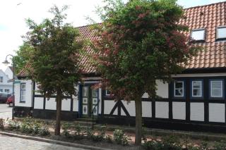 Wohnen am Dehnthof Haus 1 - Kappeln - 0