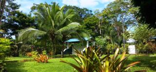 Private Villa on 2-Acres of Jungle Garden & Pool - Manzanillo - 6