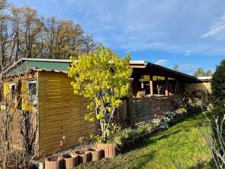 Holiday home near the Braunlage ski resort - Wienrode - 1