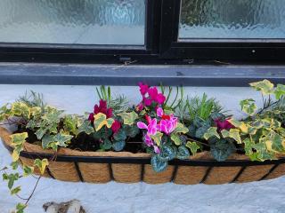 3 Penllan Cottages - 8