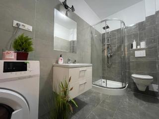 Luxury Charming Apartments - Iaşi - 1