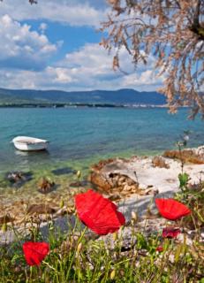 Hotel Sveti Kriz - Trogir (Traù) - 8
