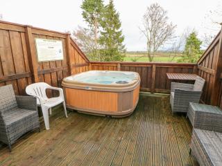 Carvin-Tor - Great Langton - 9