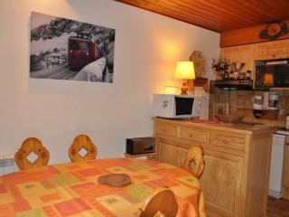 Duplex à Châtel avec Multi Pass & garage proche remontées mécaniques - FR-1-693-13 - Châtel - 8