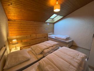 Appartement lumineux proche des pistes du Linga avec Multi Pass été à 3€/jour! - FR-1-693-21 - Châtel - 3