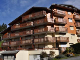 Studio charmant à Châtel avec Multi Pass offert, à quelques minutes du centre-ville ! - FR-1-693-23 - 3
