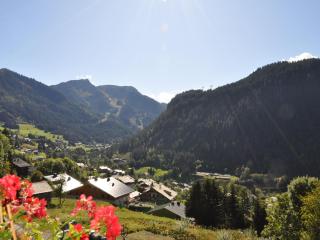 Appartement proche centre Châtel, balcon, parking, Multi Pass 2024 - FR-1-693-38 - Châtel - 2