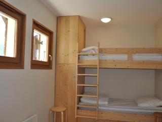 Appartement lumineux 2 chambres, proche télécabine, centre-ville Châtel - FR-1-693-31 - 3