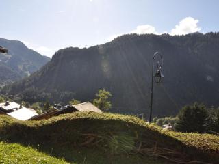 Spacieux appart avec terrasse à Châtel, proche centre et navettes, Multi Pass inclus - FR-1-693-22 - Châtel - 2