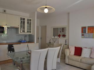 Spacieux appartement au centre du village avec Multi Pass offert et proche télécabine Super-Châtel - FR-1-693-36 - Châtel - 6
