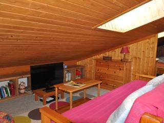 Bel appartement près des télésièges avec balcon et WiFi à Châtel - FR-1-693-49 - Châtel - 3