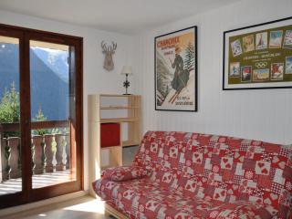 Appart 1er étage à Châtel, 650m du centre, park. privé, Multi Pass inclus - FR-1-693-52 - Châtel - 9