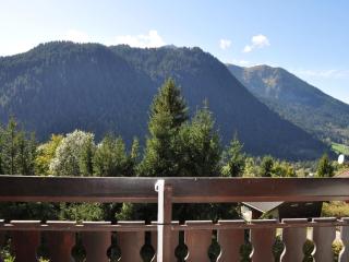 Appart 1er étage à Châtel, 650m du centre, park. privé, Multi Pass inclus - FR-1-693-52 - Châtel - 1