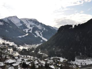 Studio charmant à Châtel avec balcon et parking couvert proche des pistes - FR-1-693-64 - Châtel - 7