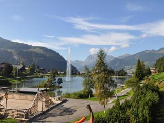 Appartement 27m² à Châtel, proche des télésièges, balcon ouest, parking, Multi Pass inclus! - FR-1-693-56 - Châtel - 1