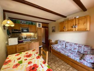Studio équipé à Châtel, proche télésièges, parking inclus, Sud/Ouest - FR-1-693-57 - Châtel - 8