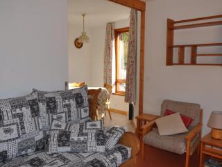 Charmant 2 pièces avec balcon et parking, proche centre et remontées mécaniques ! - FR-1-693-65 - Châtel - 6