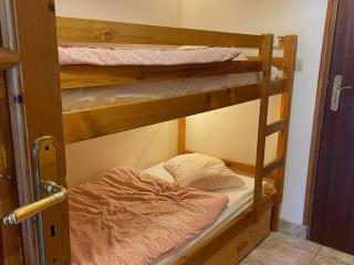 Confortable studio à 200m du centre avec Multi Pass été à 3€/jour, parking et balcon exposé Sud - FR-1-693-66 - Châtel - 6