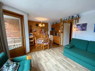 Studio confortable près du centre avec balcon et parking - FR-1-693-74 - Châtel - 5