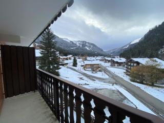 Mignon studio proche centre de Châtel avec Multi Pass à 3€/jour/personne! - FR-1-693-78 - Châtel - 2