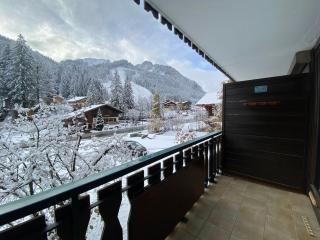 Studio cosy avec Multi Pass, à 100m des remontées Linga, garage et WiFi inclus, idéal ski et été - FR-1-693-82 - Châtel - 5