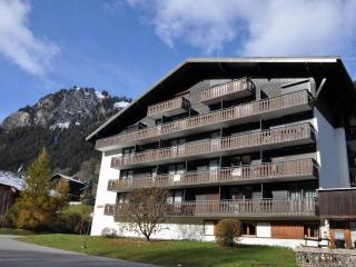 Studio cosy avec Multi Pass, à 100m des remontées Linga, garage et WiFi inclus, idéal ski et été - FR-1-693-82 - Châtel - 2