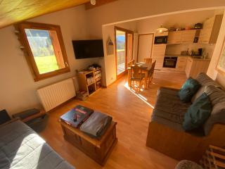 Appartement spacieux proche des pistes avec Multi Pass à 3€/jour/personne ! - FR-1-692-14 - La Chapelle-dʼAbondance - 0