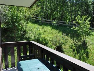 Charmant 2 pièces calme avec balcon, proche pistes! - FR-1-692-70 - Abondance - 2